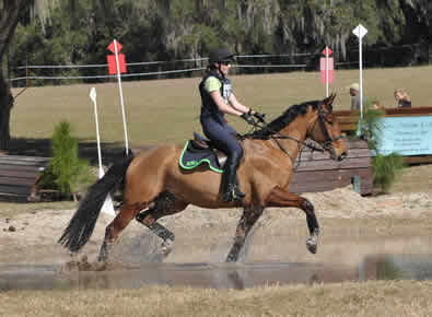 Flannigan at Rocking Horse