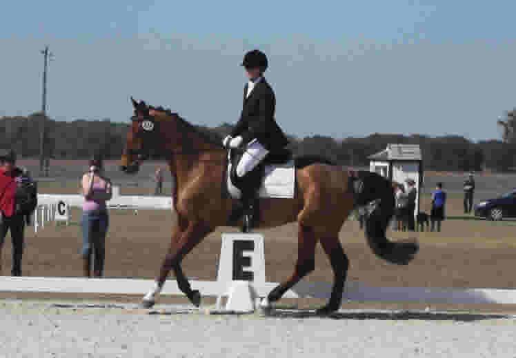 Flannigan doing Dressage at Rocking Horse