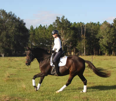 Froschkuss and Mady cantering on the hill