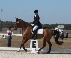 Flan Dressage