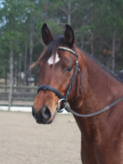 Helea Head Shot