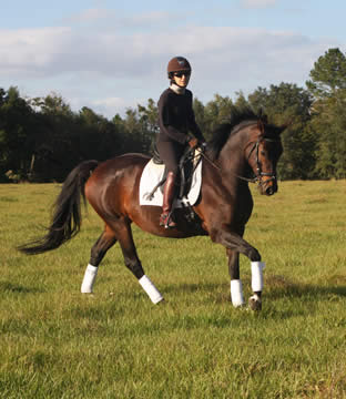Kiera with Lupe at the canter